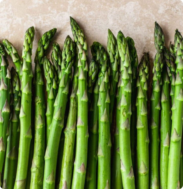 Asparagus Seeds - Mary Washington